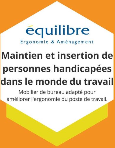 Equilibre maintien et insertion de personnes handicapées dans le monde du travail